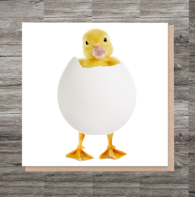 Duck Easter Card, Custom Chick Easter Card